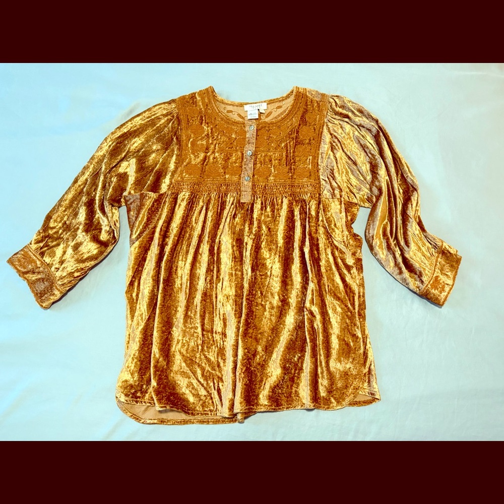 Tru Luxe L Gold Embroidered Crushed Velvet Blouse